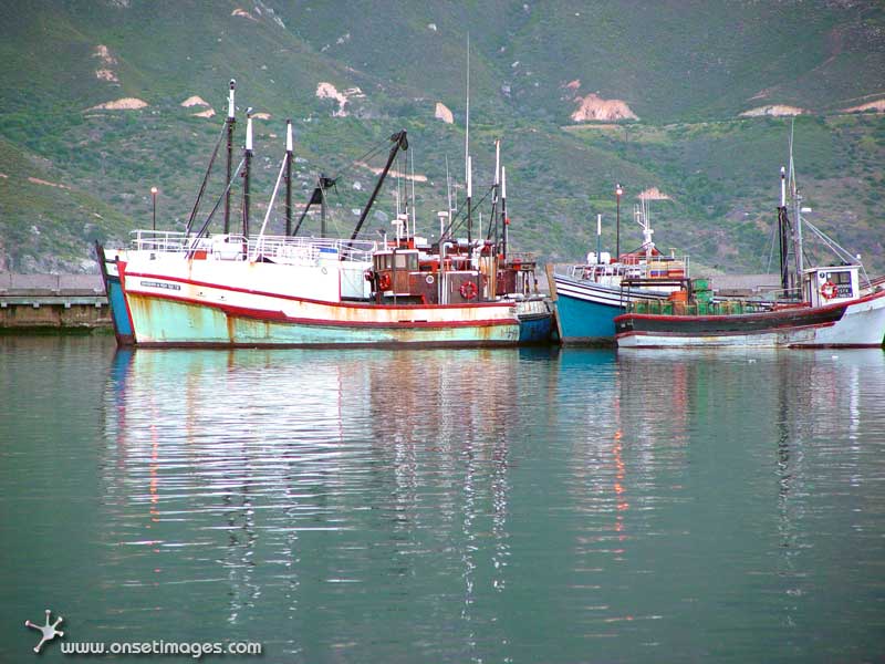 Fishing Trawlers, Hout Bay Harbour